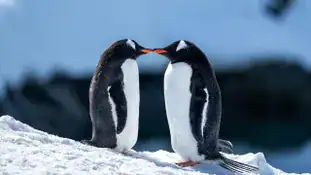 Argentina - Patagonia