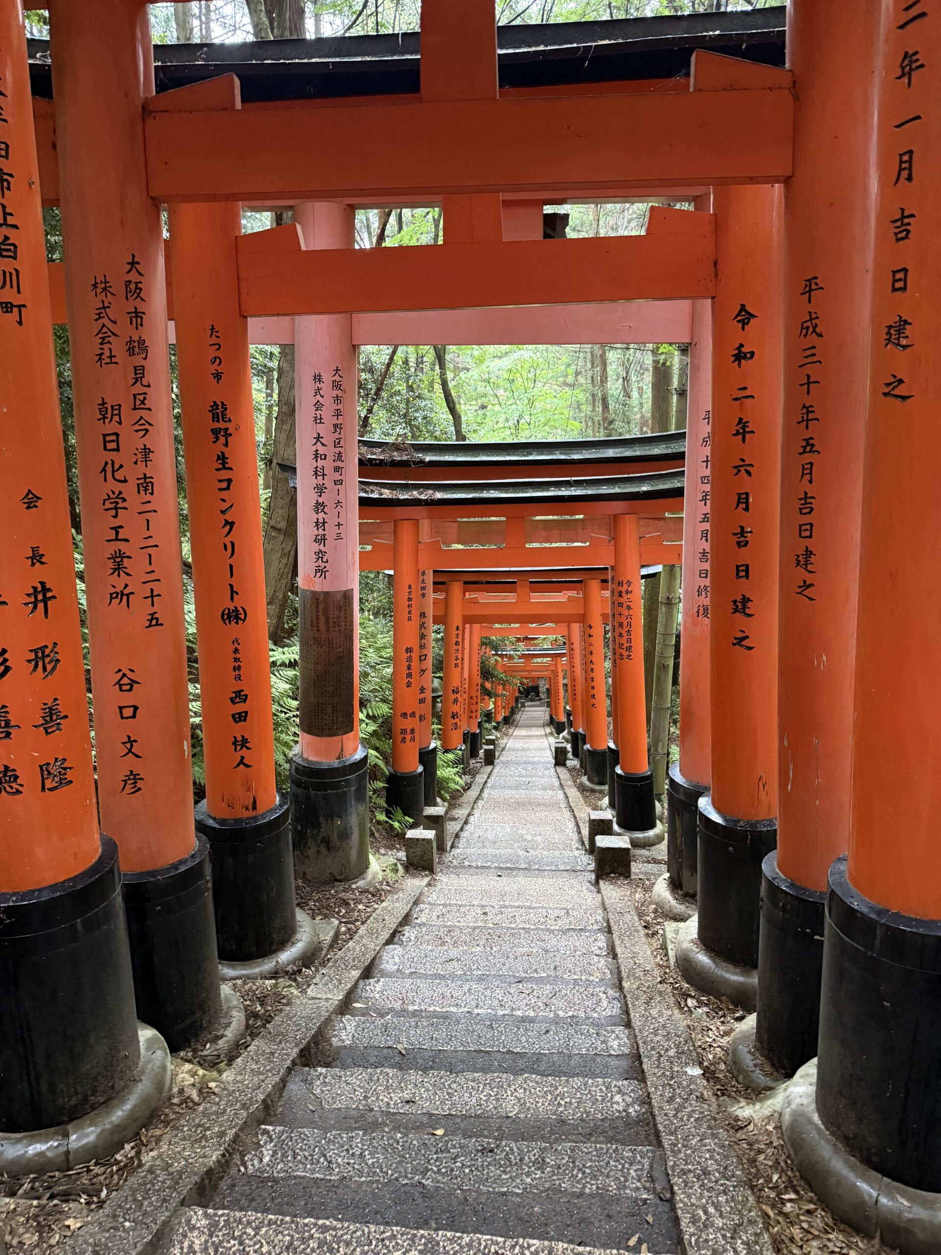 Nicole exploring the breathtaking torii gates in Japan