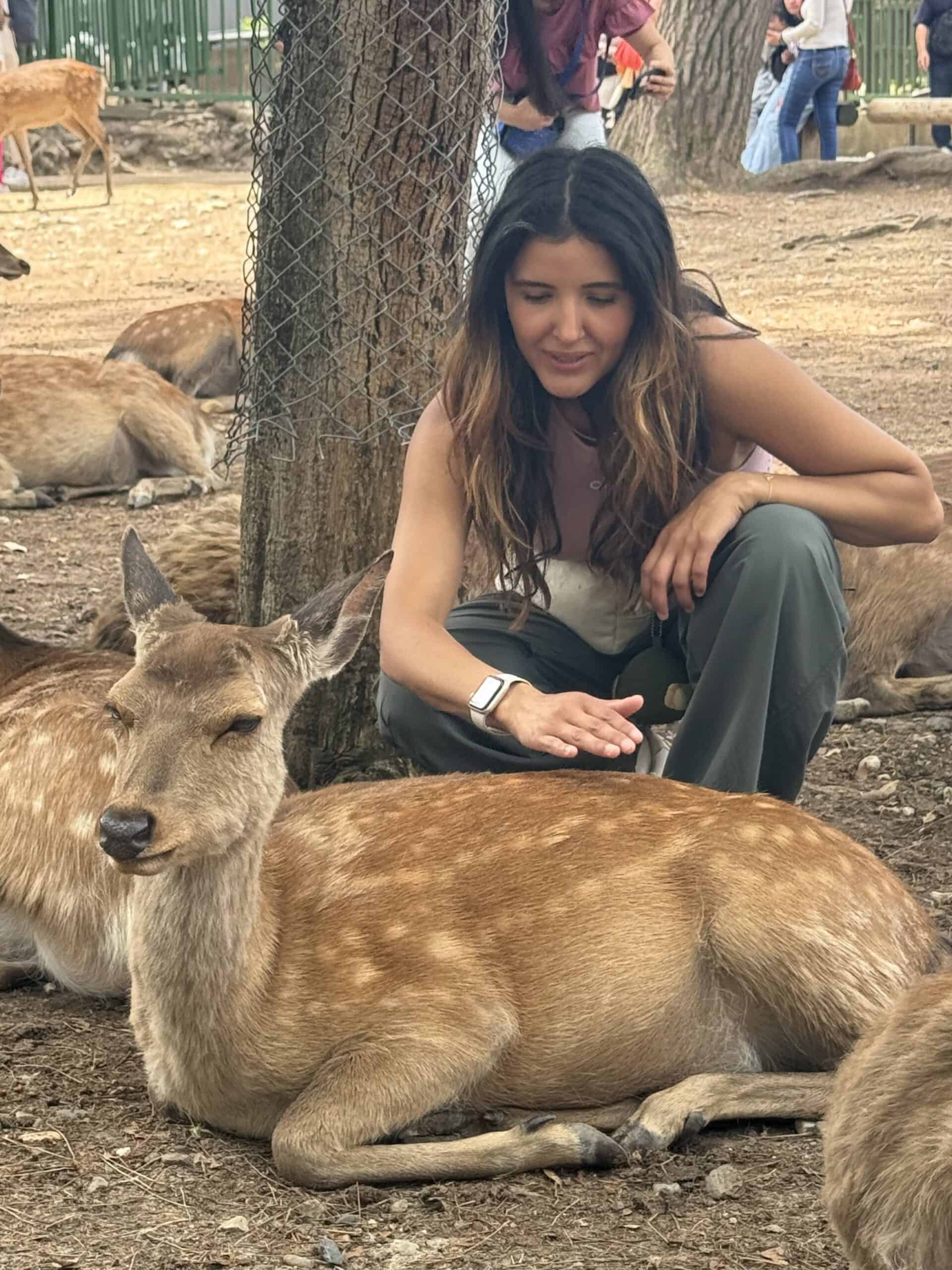 Nicole meeting the gentle deer of Nara Park, Japan